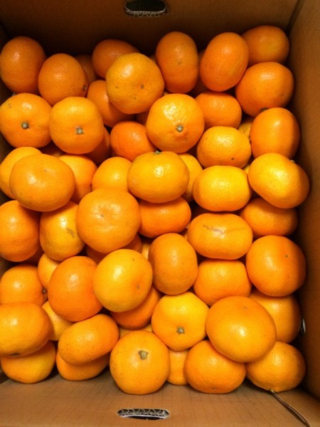 冬はみかんの季節 贈答用などみかんの箱買いで失敗しない選び方 そして安く買う 保存の方法 Past Orange